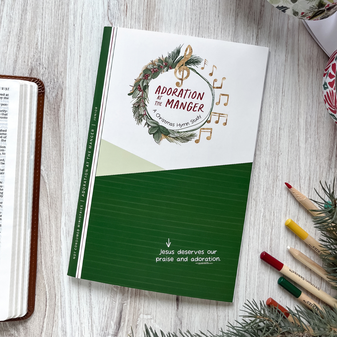 Christmas Hymn Bible study