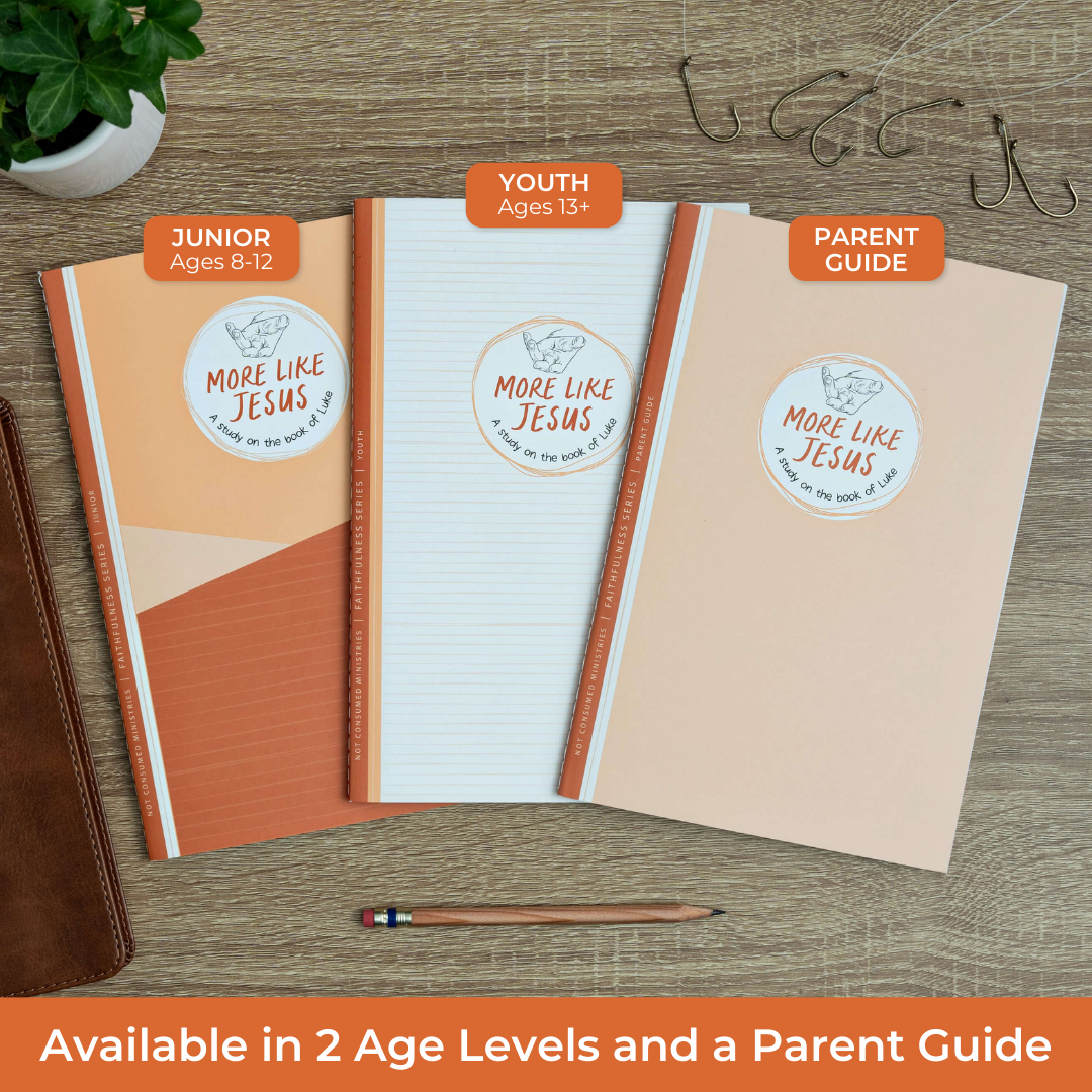 Three books titled &#39;More Like Jesus&#39; for Junior, Youth, and Parent Guide on a wooden surface with a pen and plant.