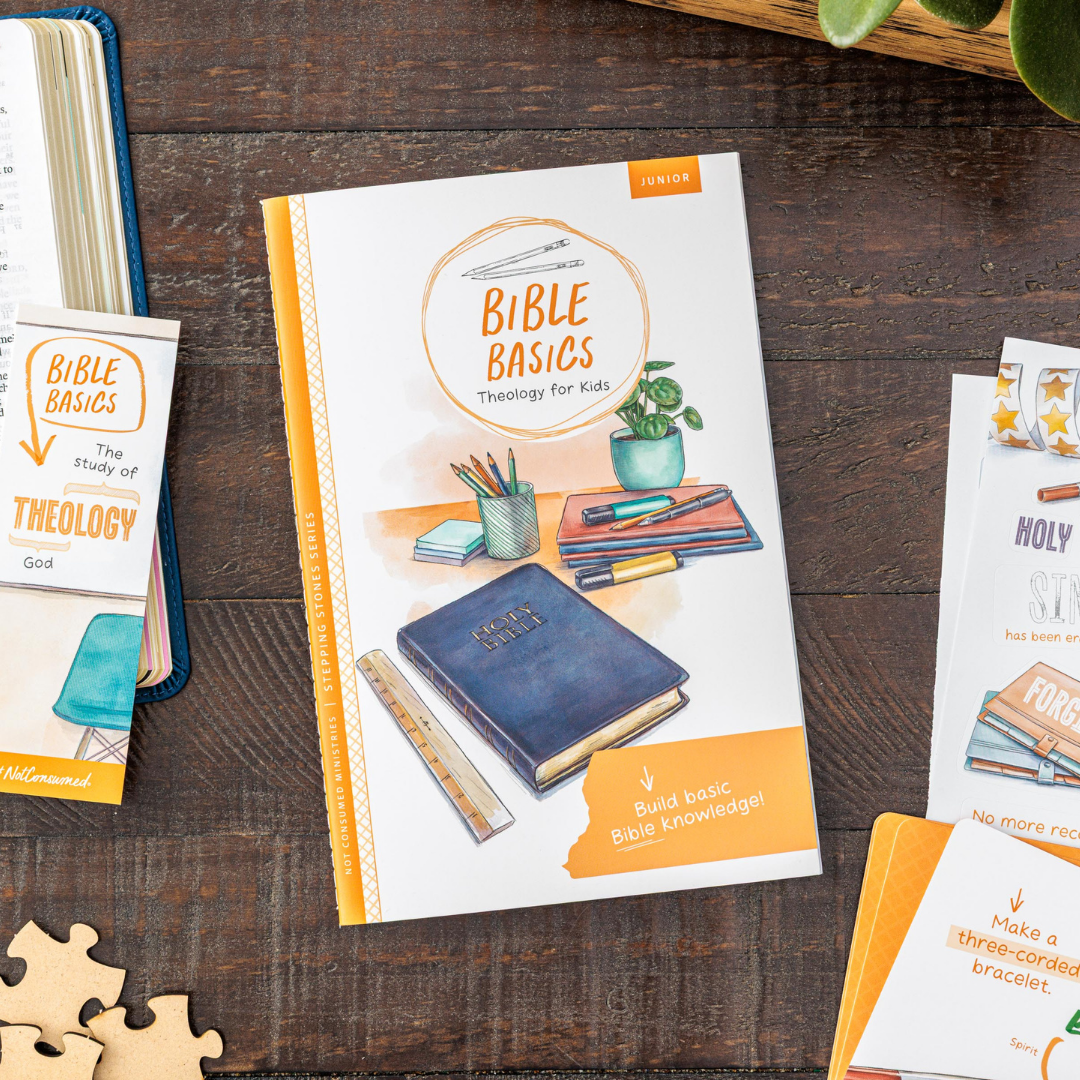 Book titled 'Bible Basics Theology for Kids' on a wooden surface with other educational materials.