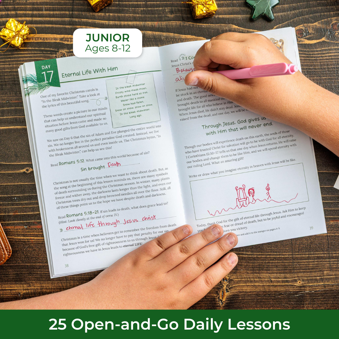 25 Open and Go Bible study lessons