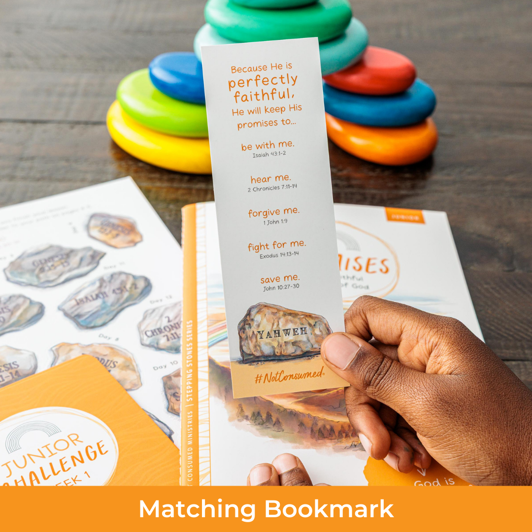 Promises of the Bible bookmark
