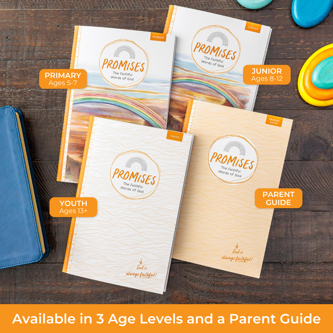 Different levels for the Promises Bible study