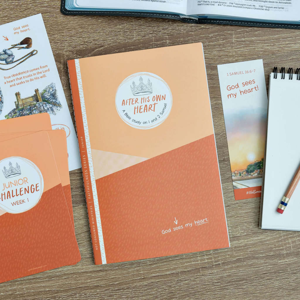 Bible Study on the heart of God