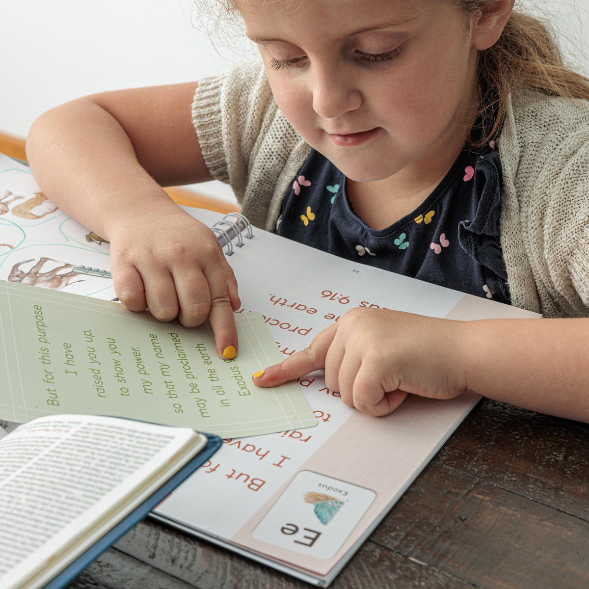 Biblical reading curriculum