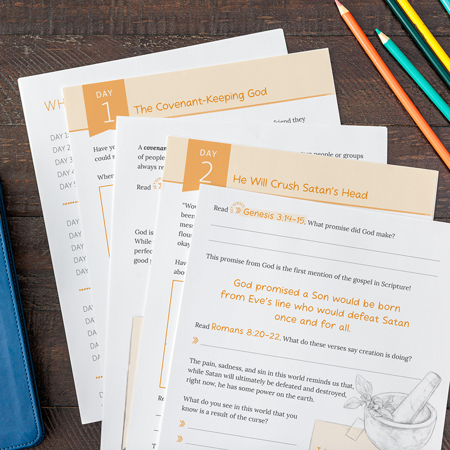 Bible Study on the Promises of God