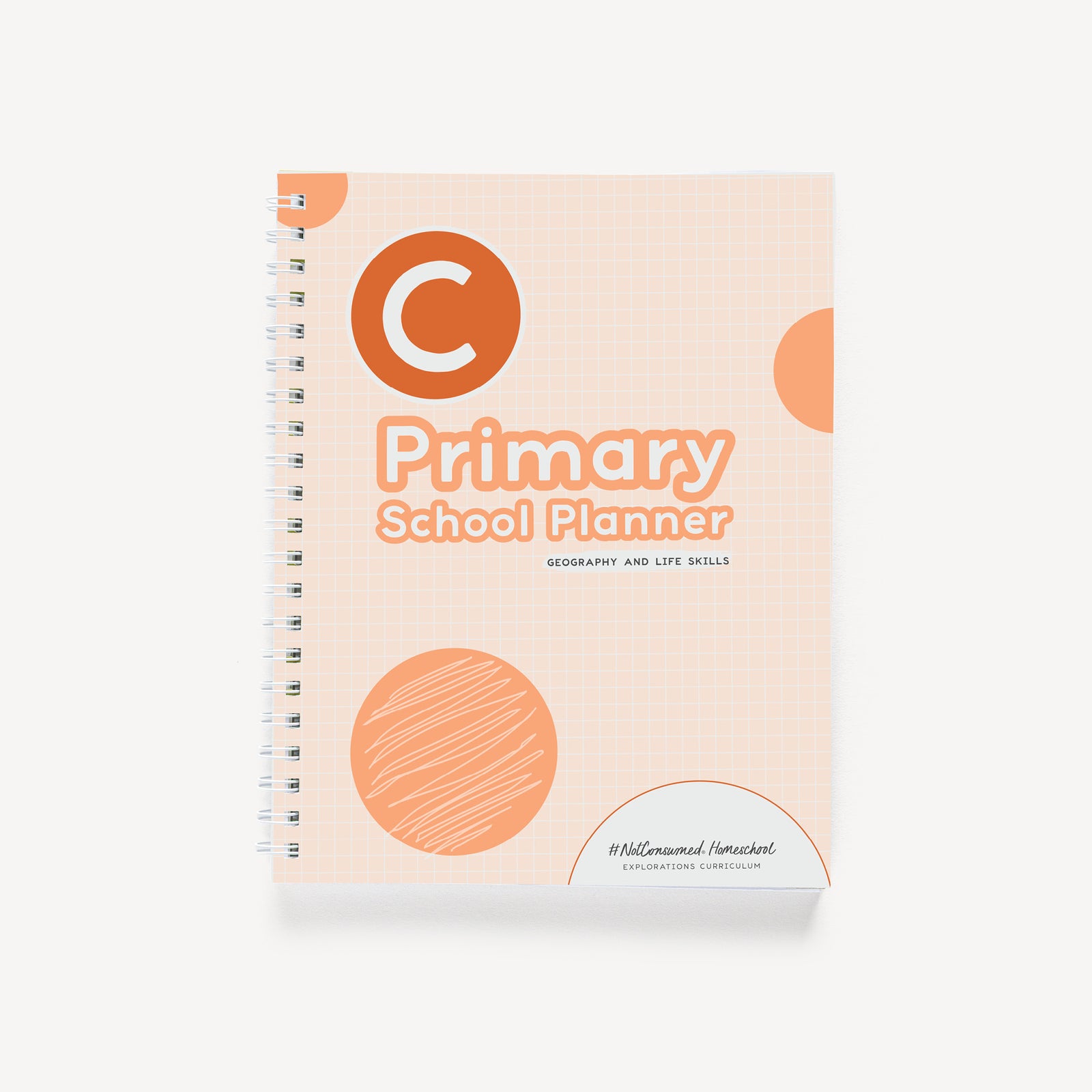 Elementary school planner