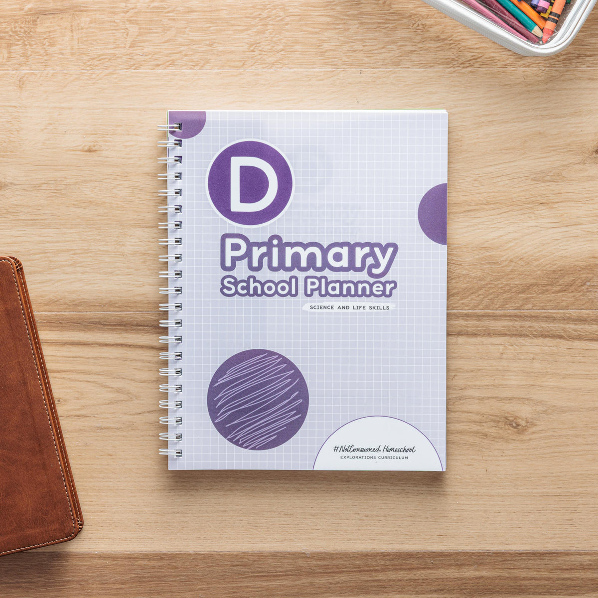 Early elementary school planner