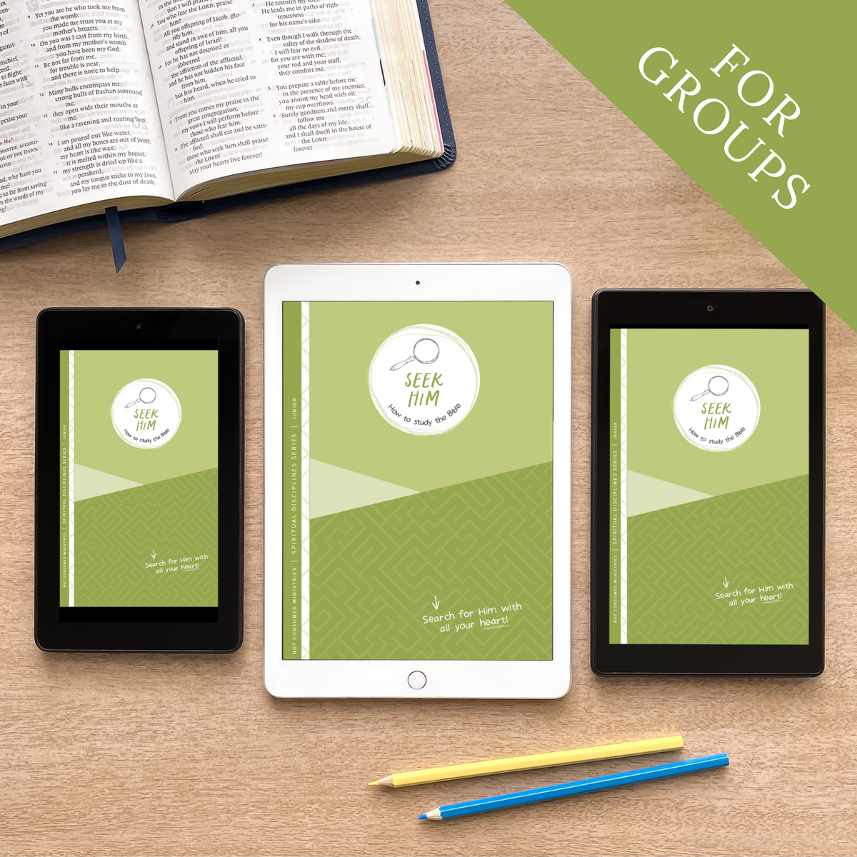 Seek Him: How to Study the Bible (Digital Site License)