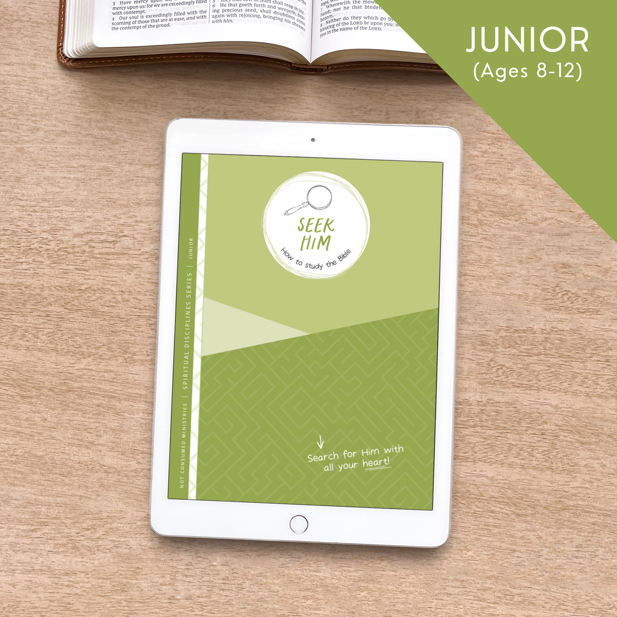 Seek Him: How to Study the Bible (Digital Site License)