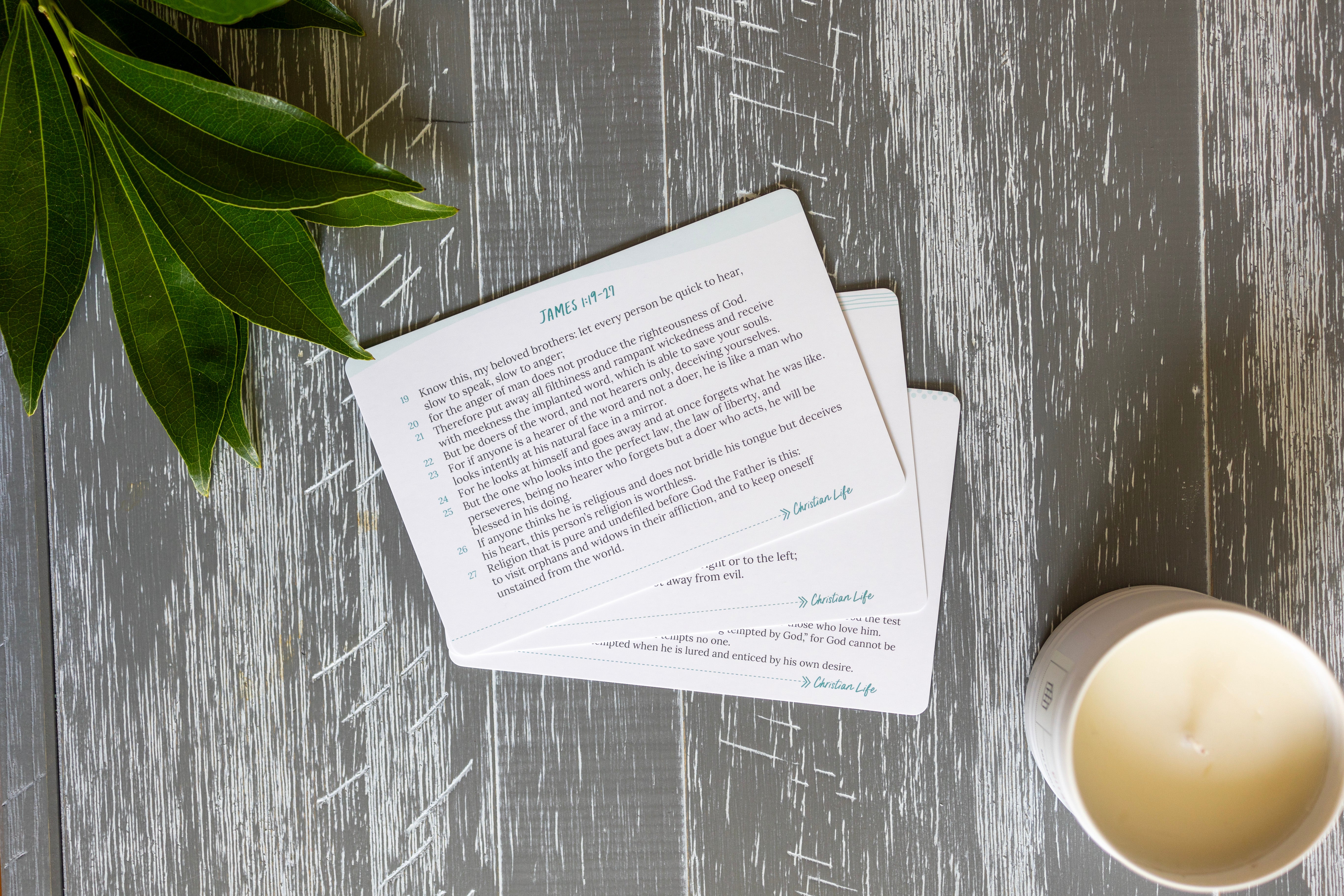 Scripture Memory Cards for Kids – Not Consumed