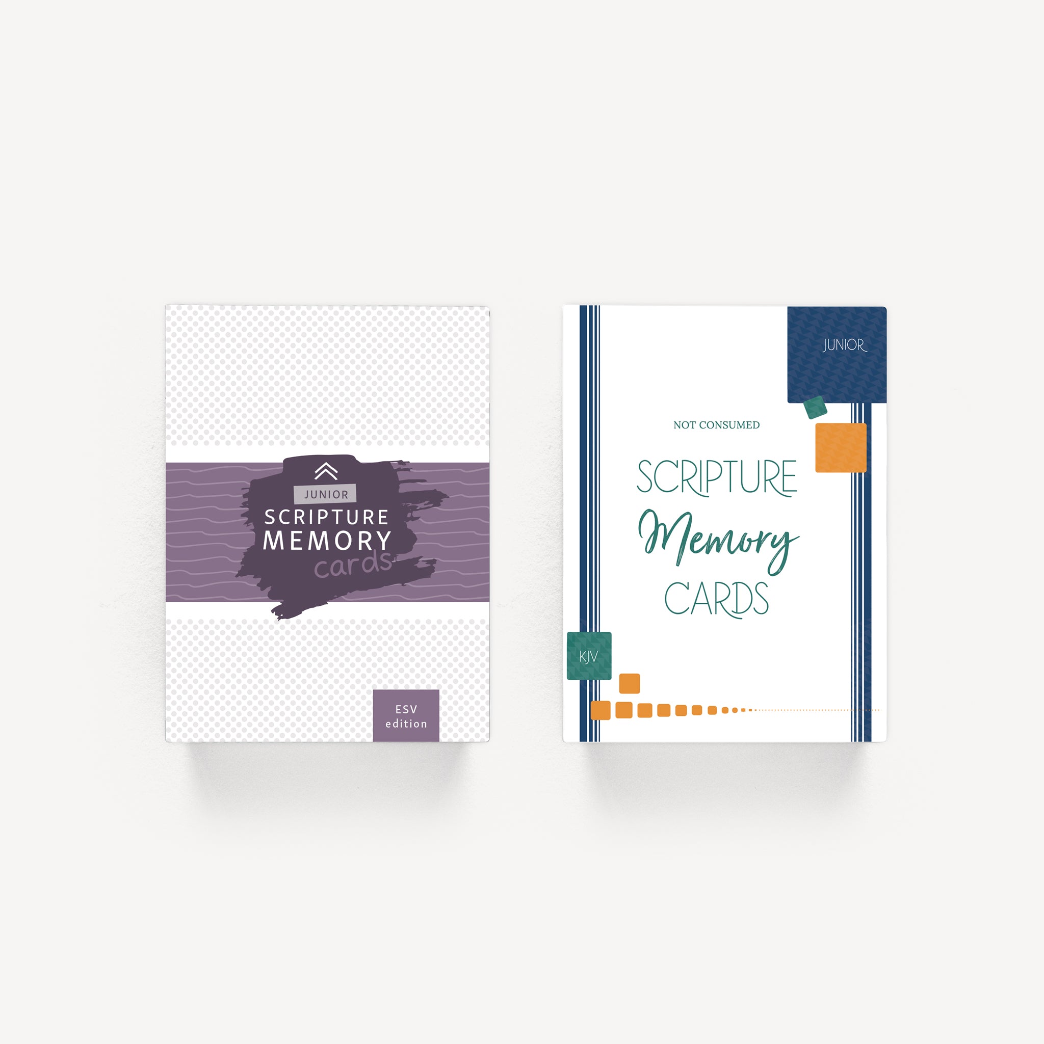 Scripture Memory Cd/dvd Scripture Memory Cards for Kids – Not Consumed