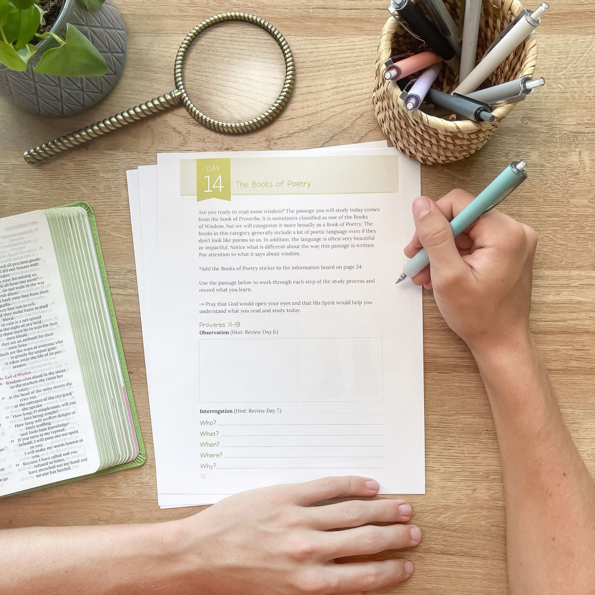 Seek Him: How to Study the Bible (Digital)