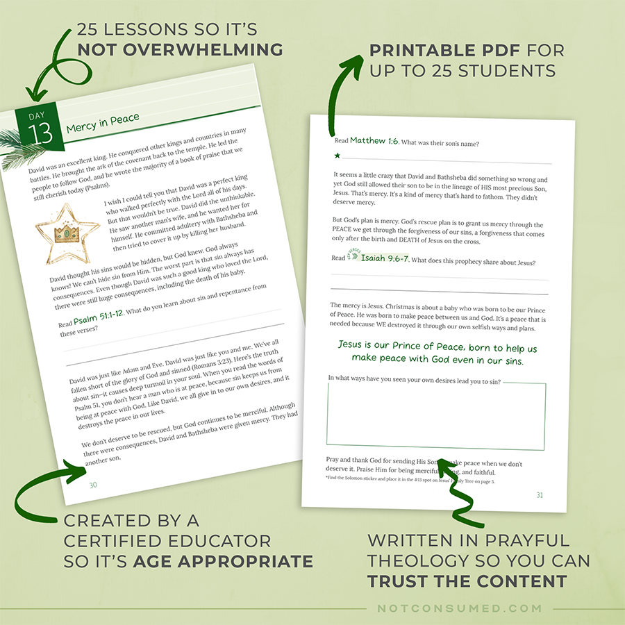 Printable Christmas Bible study for groups