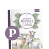 Uncovering Mercies at the Cross Bible Study