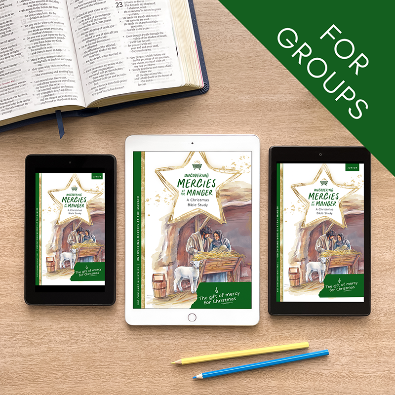 Printable Christmas Bible study for groups