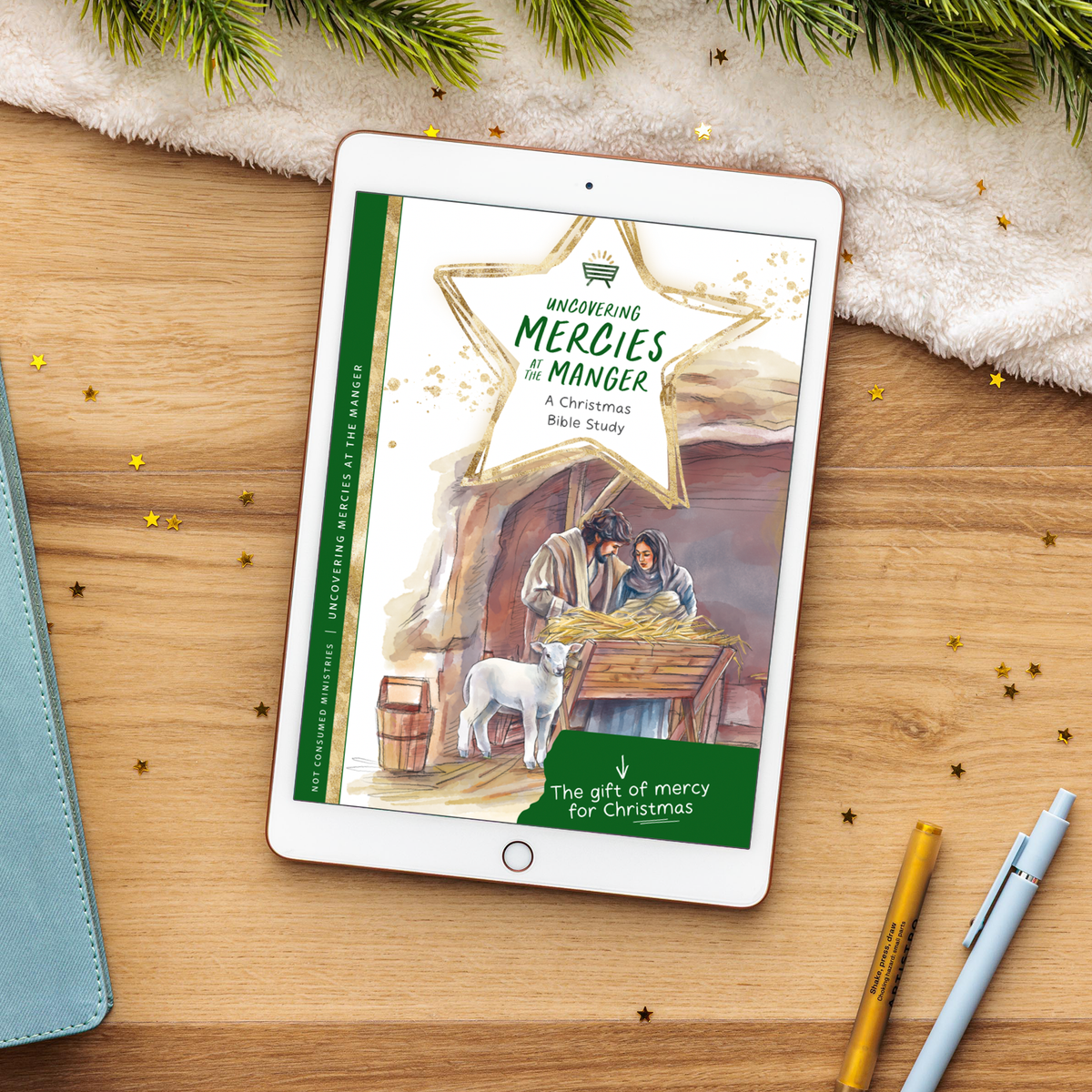 Uncovering Mercies at the Manger Bible Study (Digital)