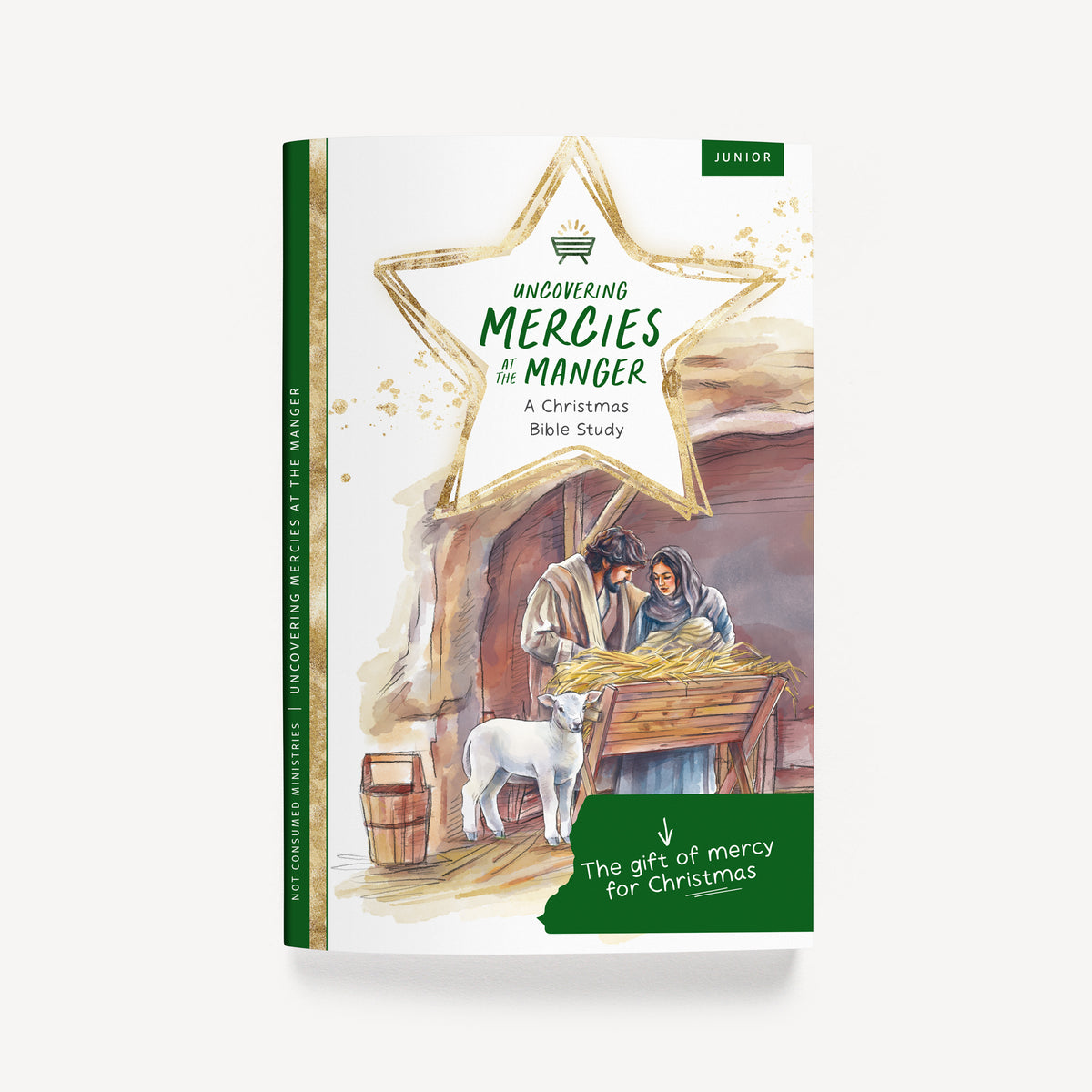 Uncovering Mercies at the Manger Bible Study
