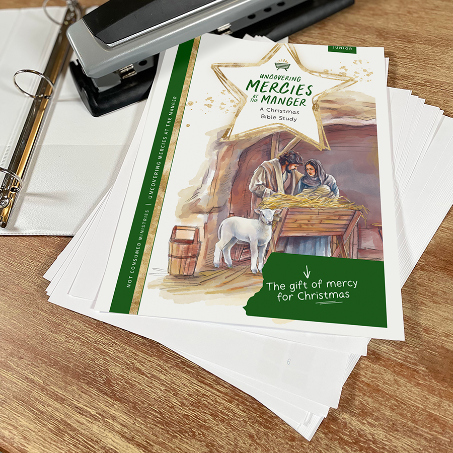 Bible study on the gift of Christmas