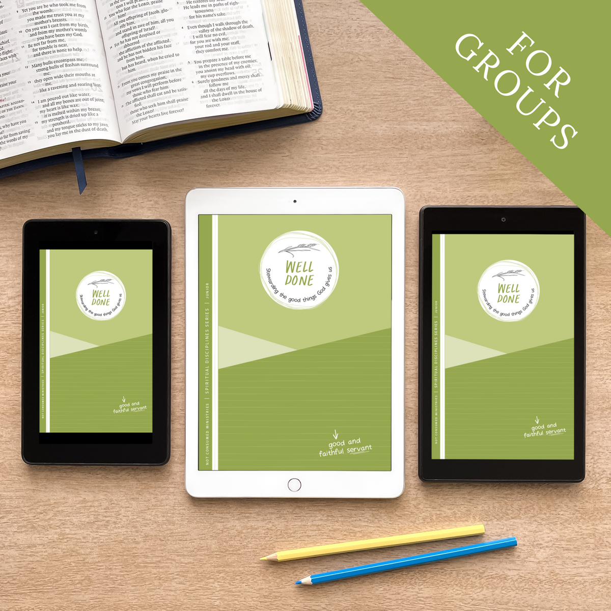 Well Done: Stewarding the Good Things God Gives Us Bible Study (Digital Site License)