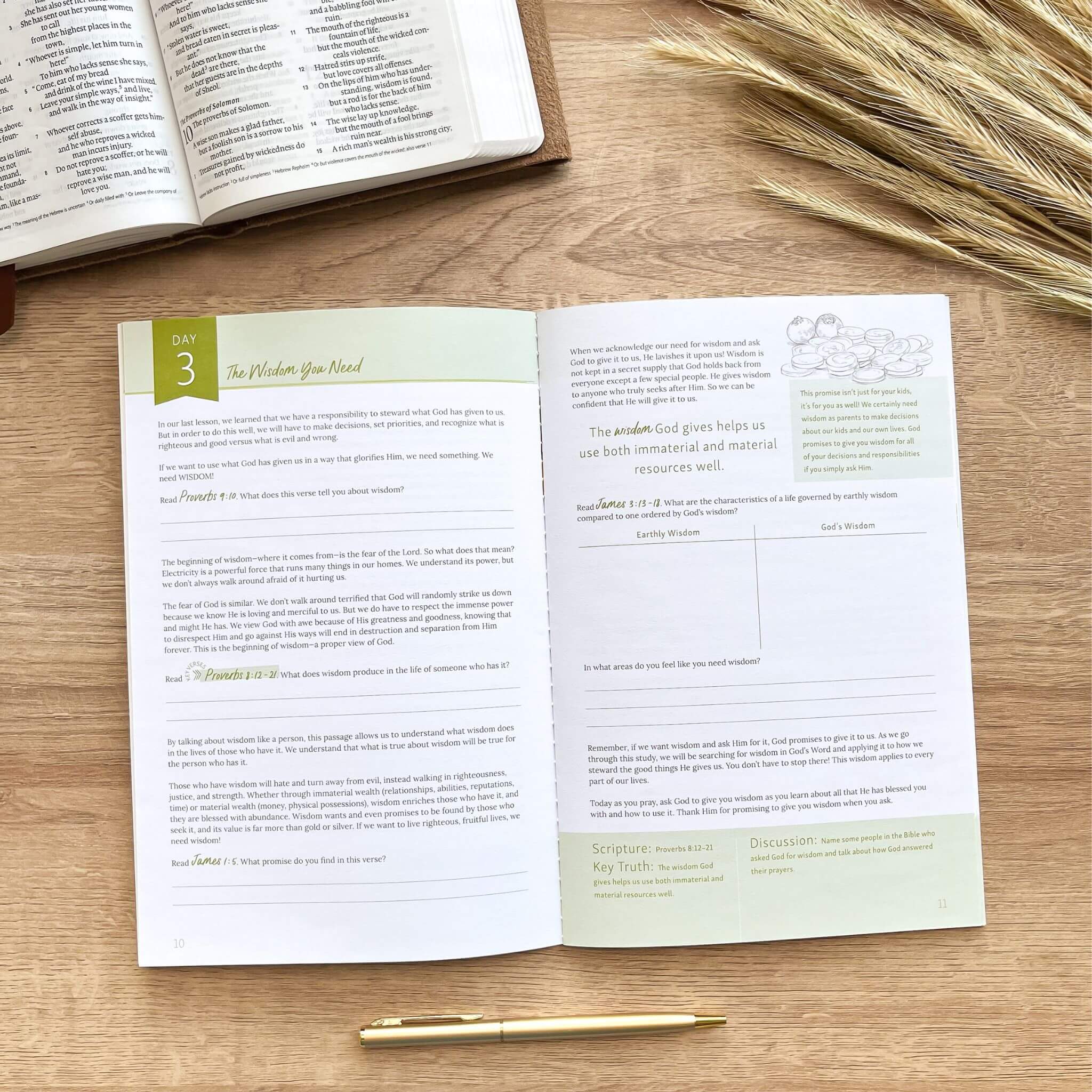 Well Done: Stewarding the Good Things God Gives Us Bible Study – Not ...