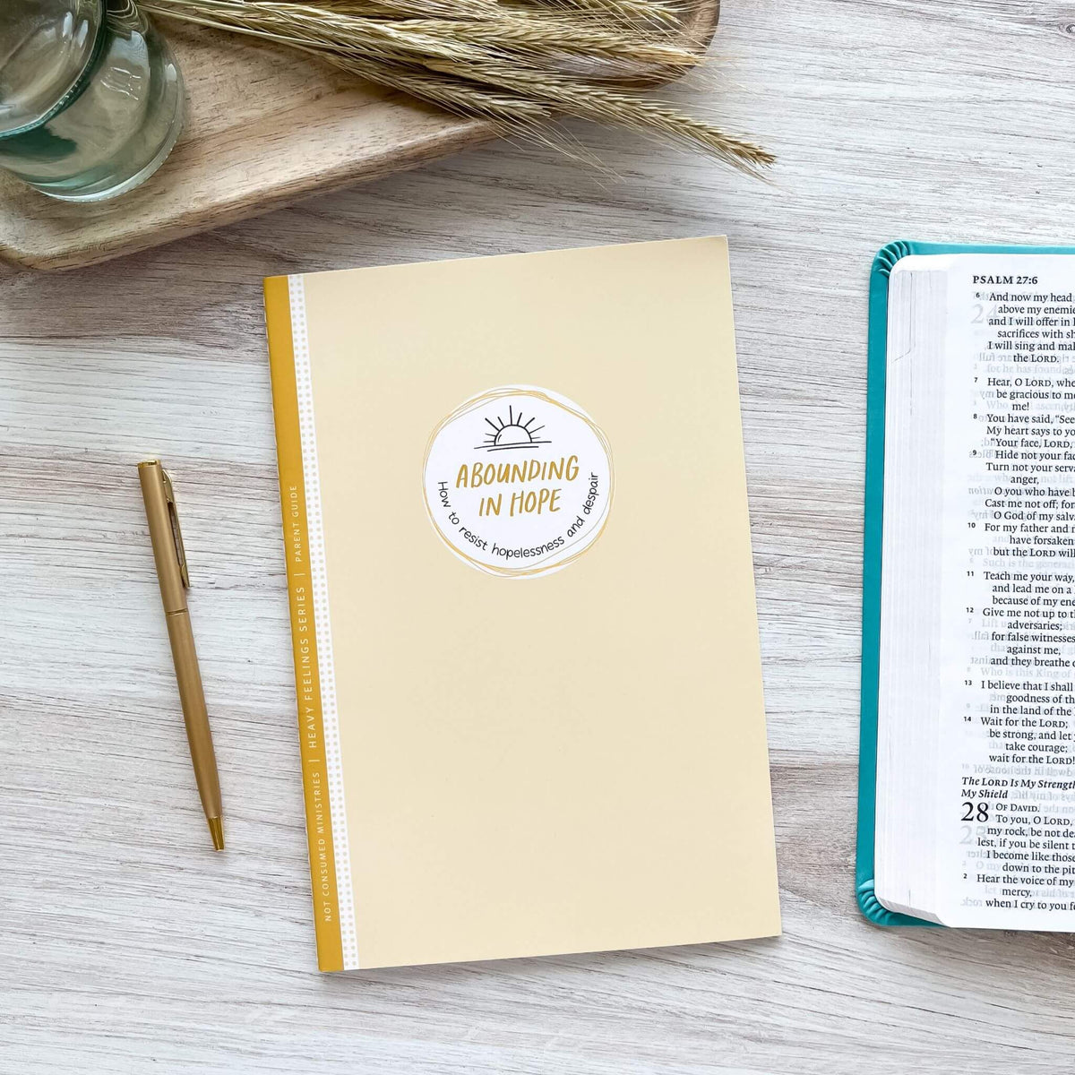 Abounding in Hope Bible Study parent guide