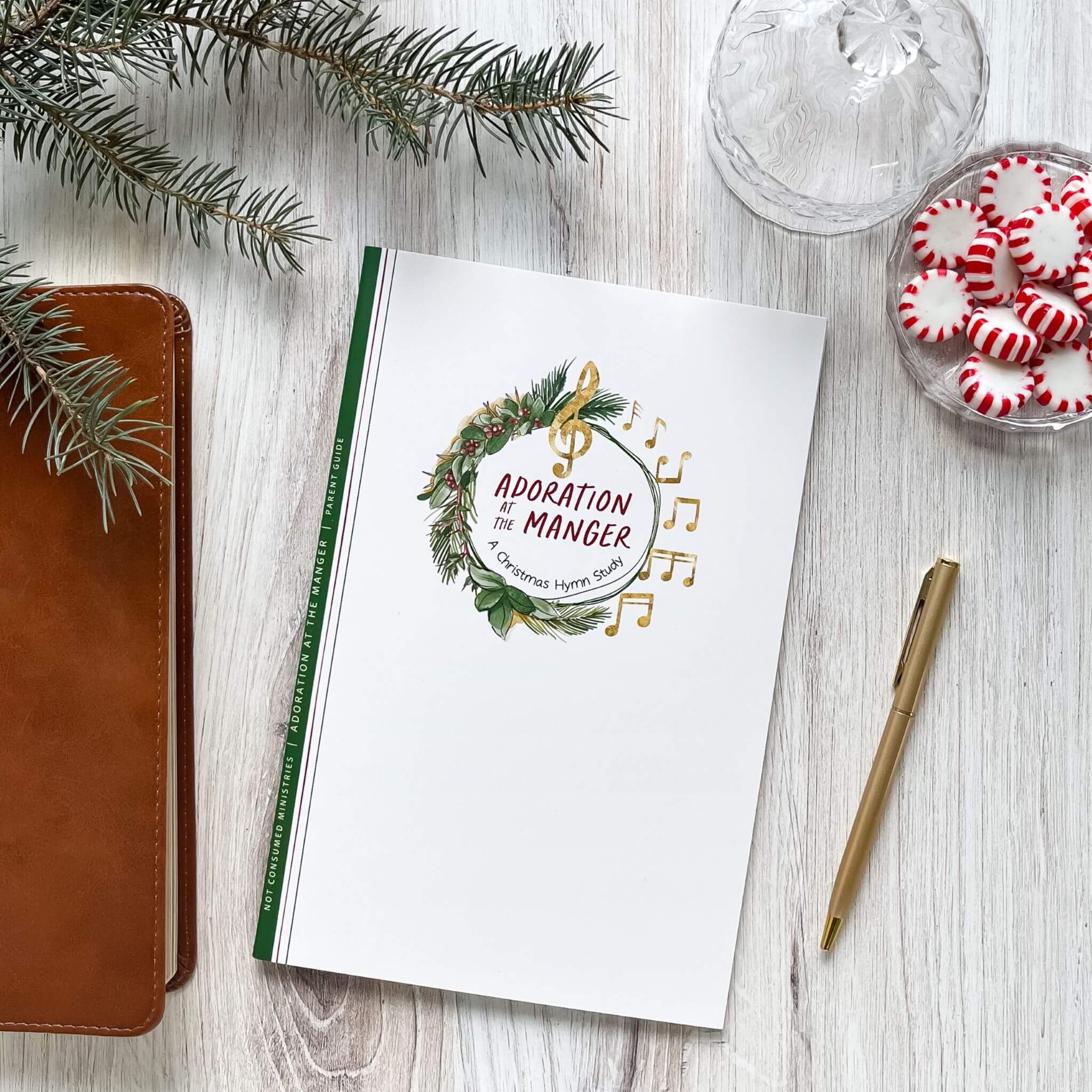 Adoration at the Manger: A Christmas Hymn Study