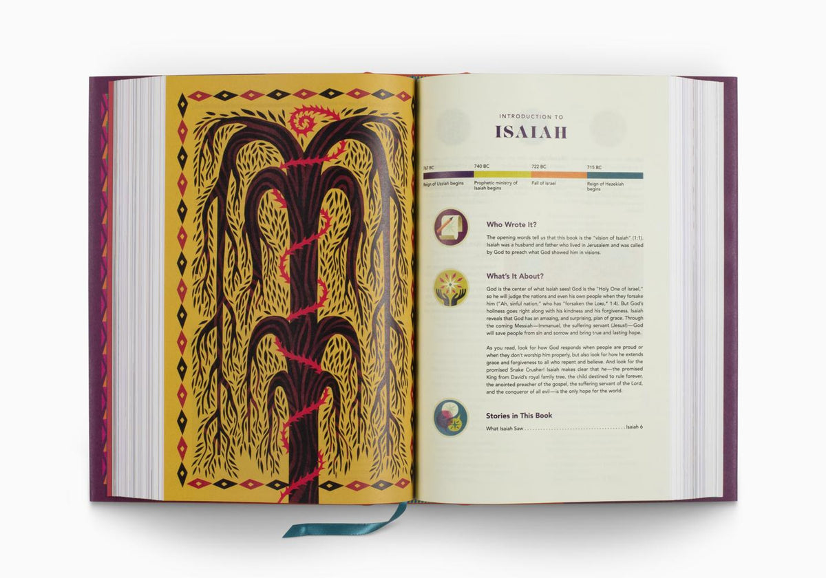 ESV Biggest Story Kids Bible