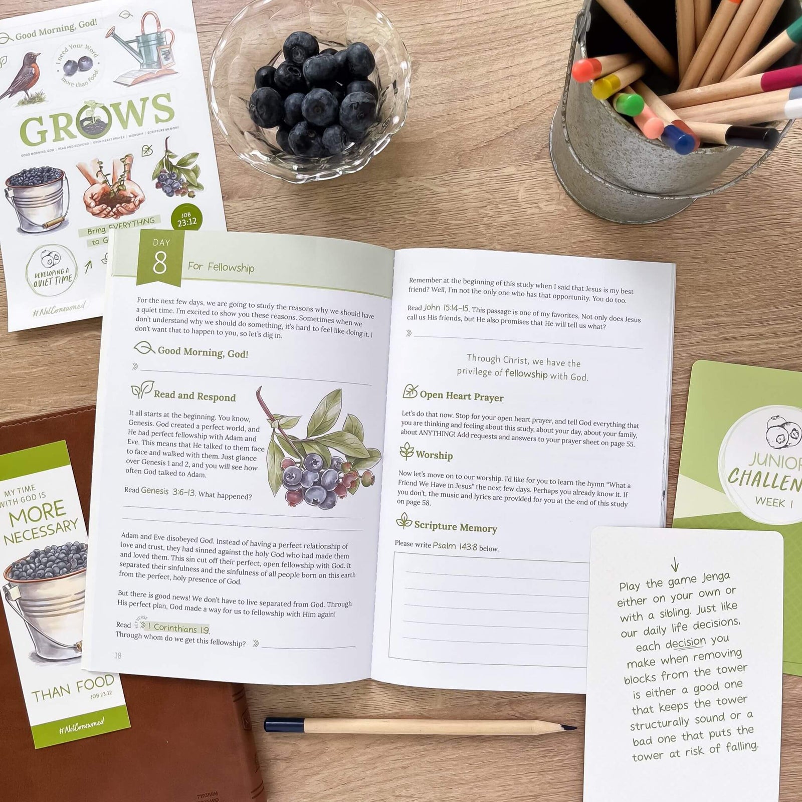 Developing A Quiet Time Bible study inside Junior level