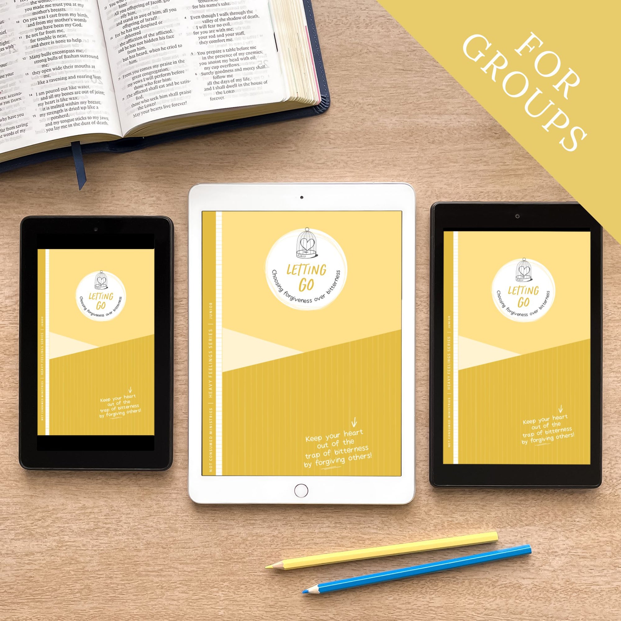 Letting Go Digital Printable Bible Study for groups
