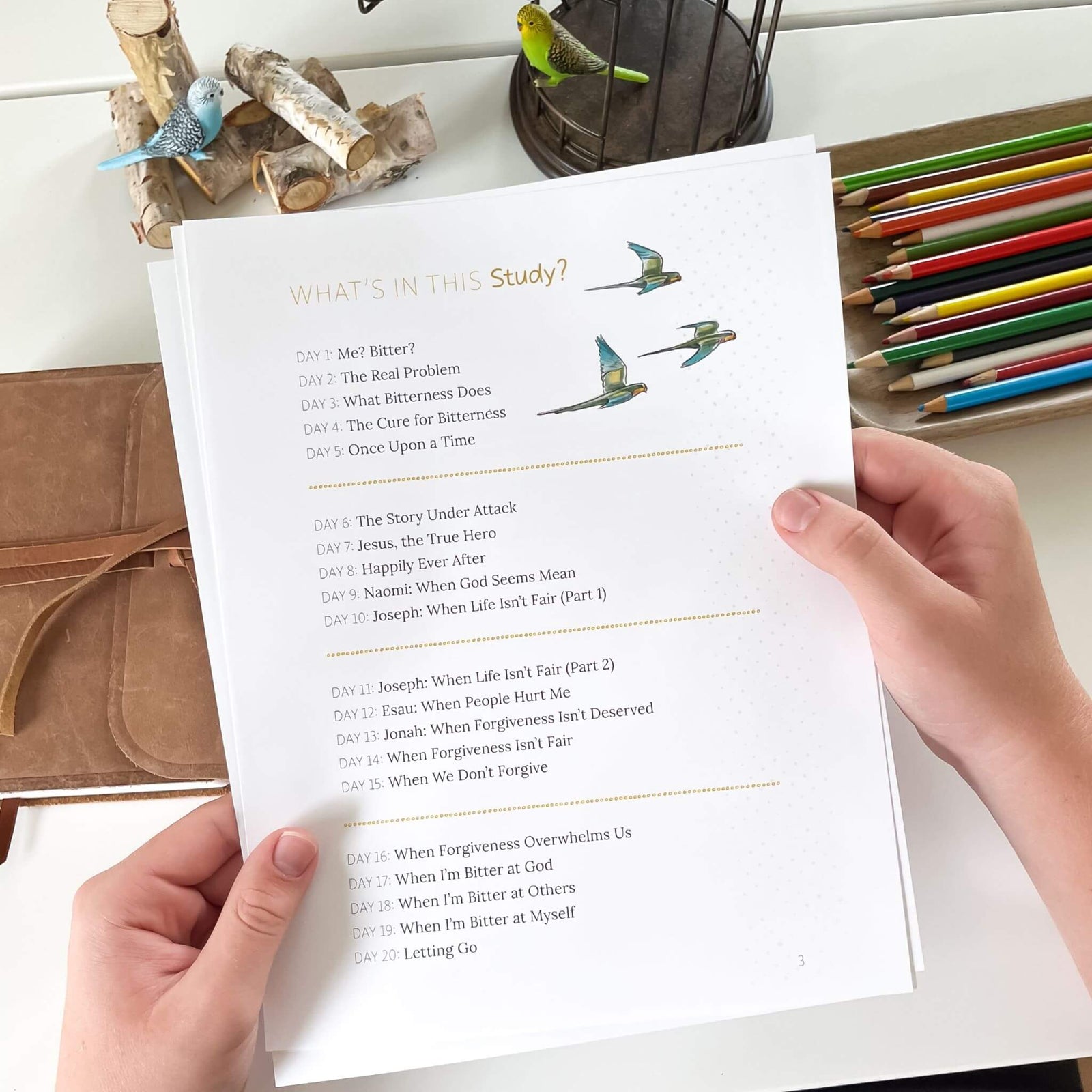 Letting Go Digital Printable Family Bible Study