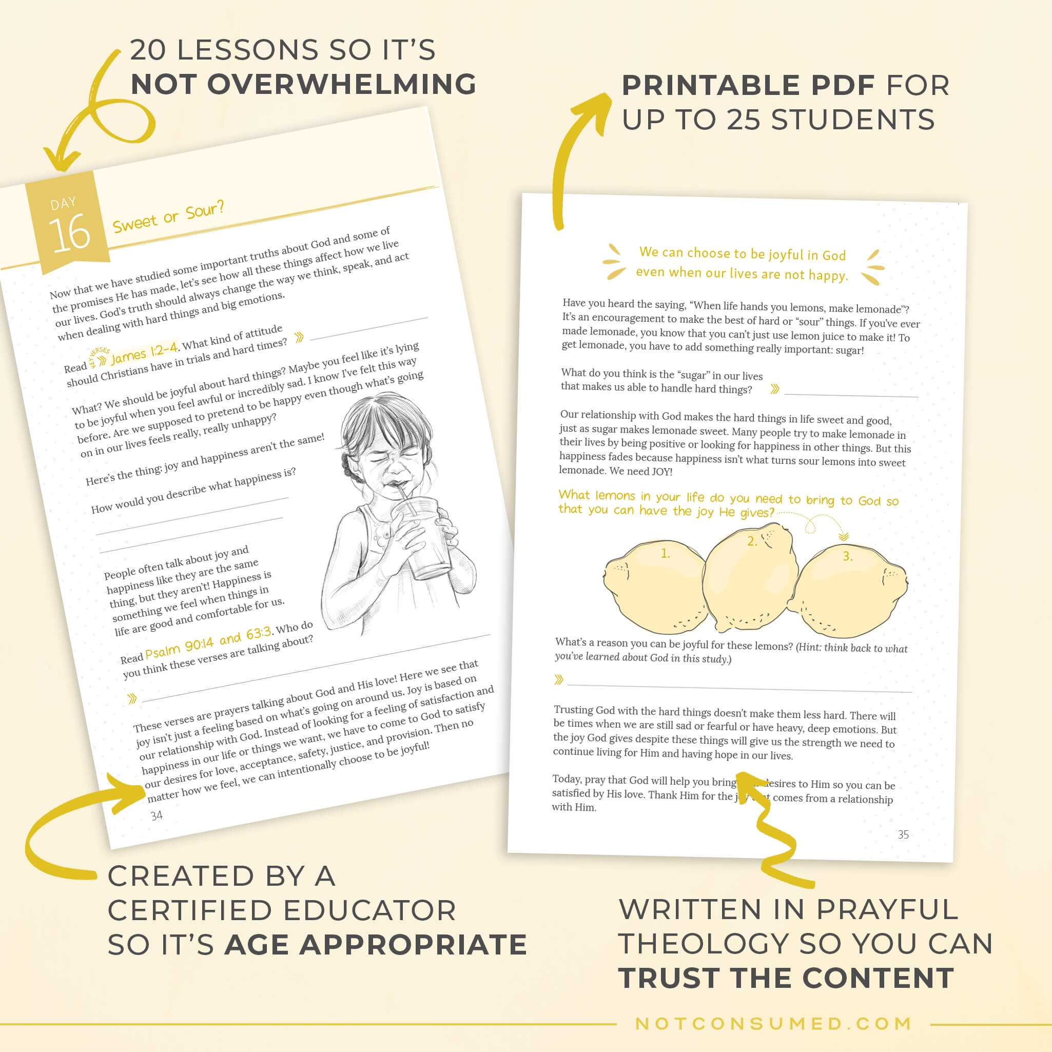 Making Lemonade Bible Study (Digital Site License) – Not Consumed