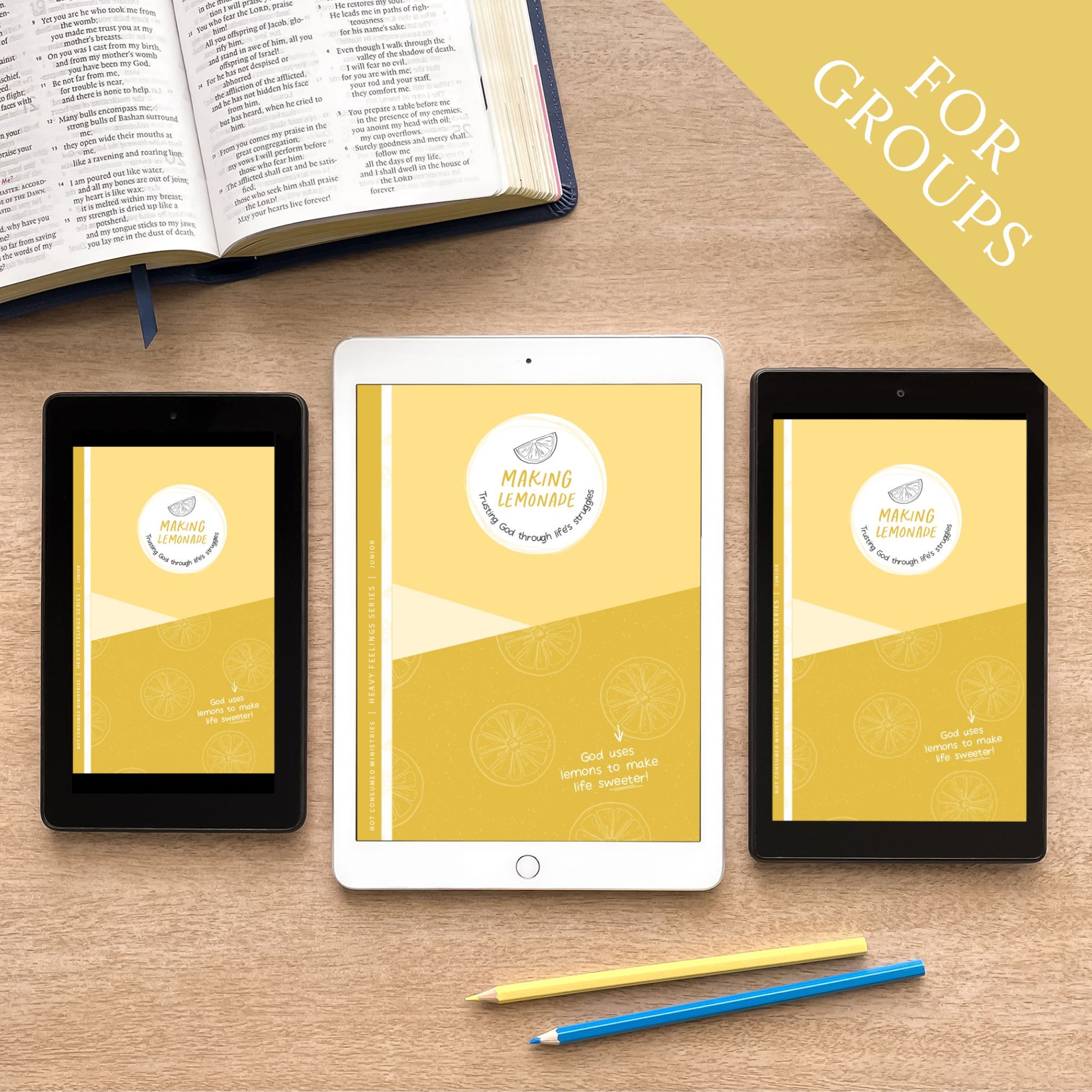 Making Lemonade digital Family Bible Study for groups