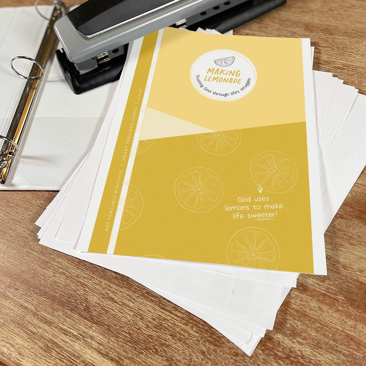 Making Lemonade printable Family Bible Study for groups