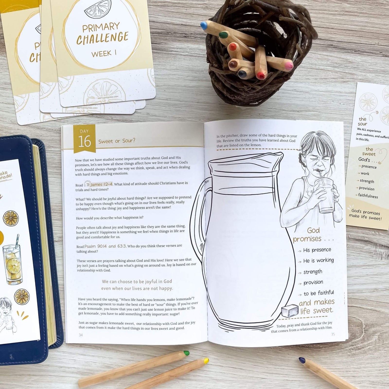 Making Lemonade Bible Study for children inside