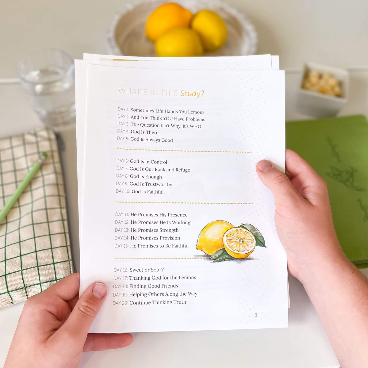 Making Lemonade digital Family Bible Study for groups table of contents