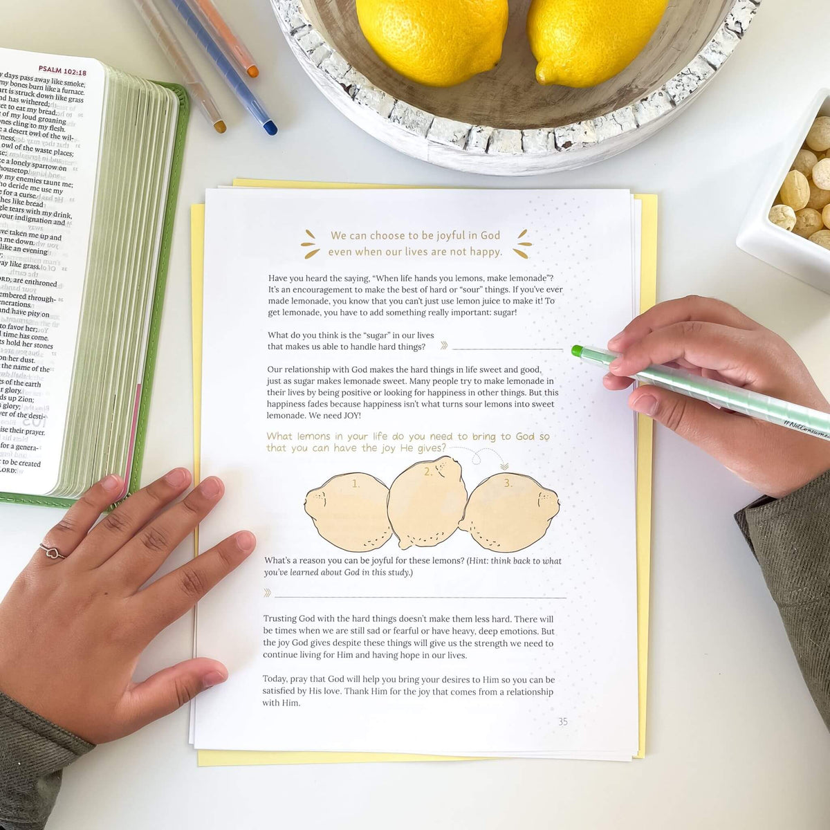 Making Lemonade Bible Study (Digital)