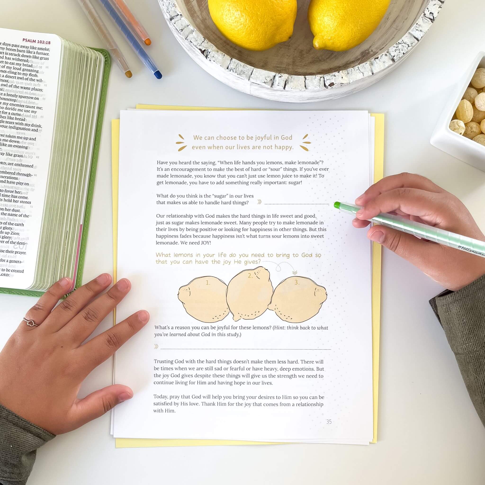 Making Lemonade Bible Study (Digital Site License) – Not Consumed