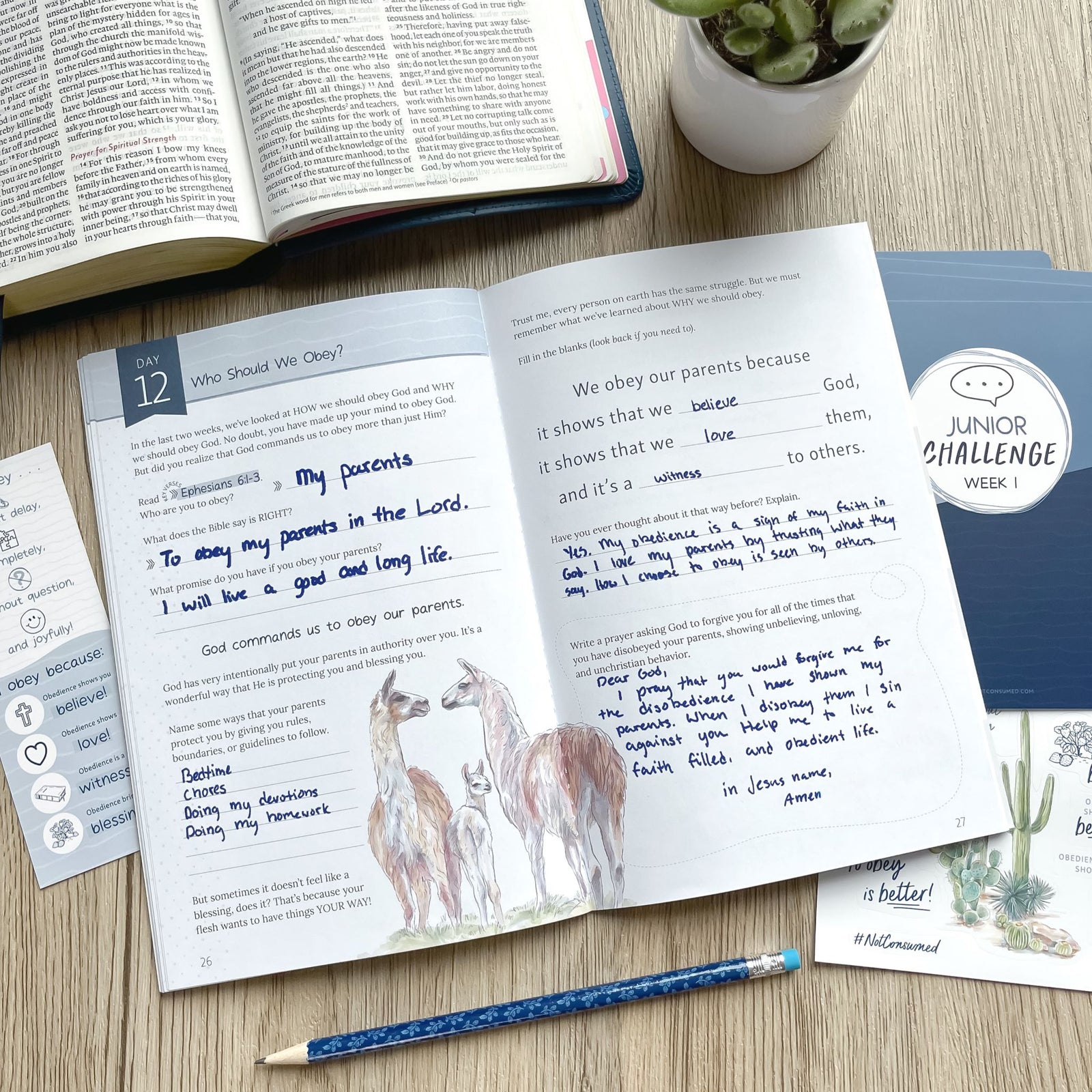 Obey Bible study for kids- inside