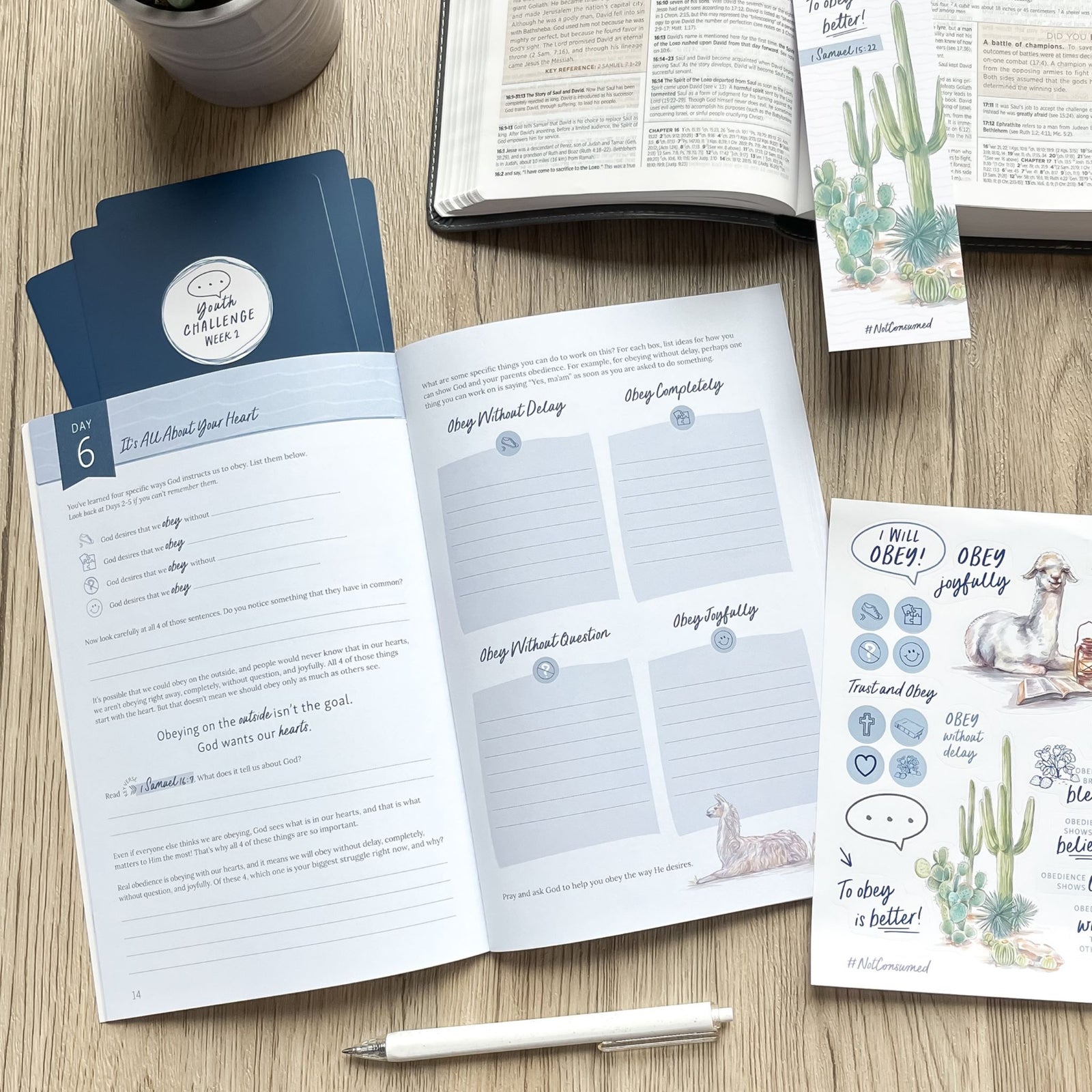 Obey Bible study for teens- inside