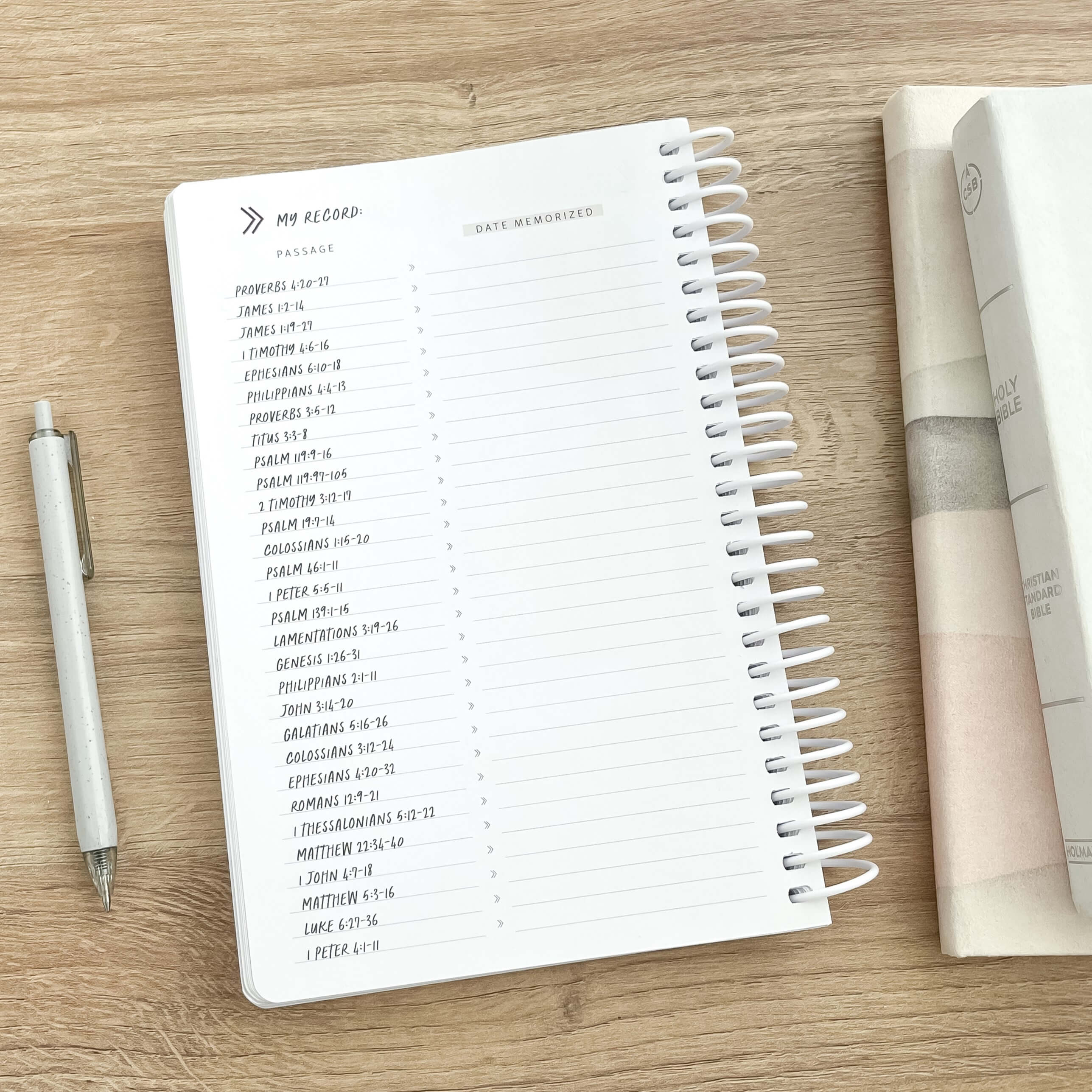 Scripture Memory Bundle