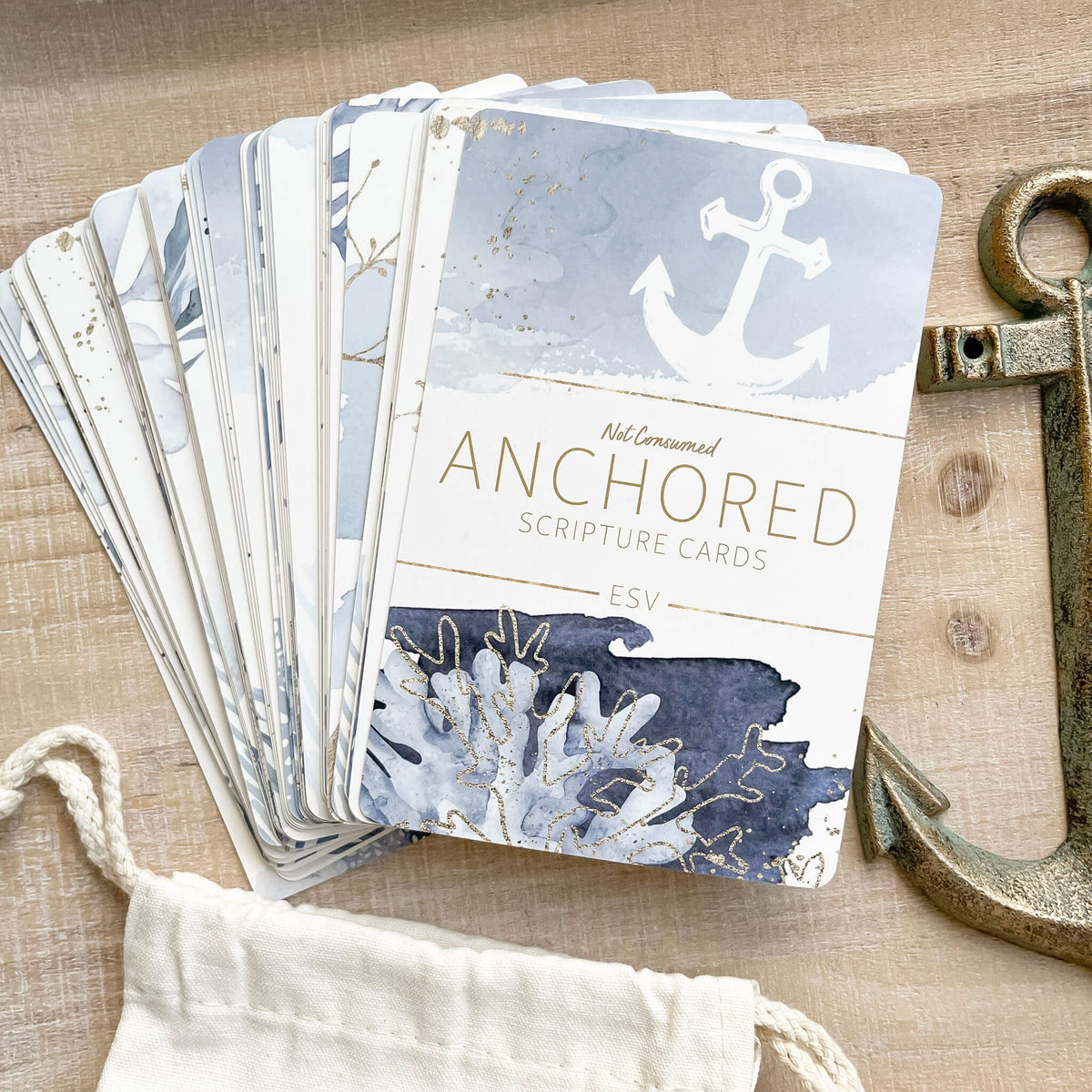Anchored scripture cards ESV cover
