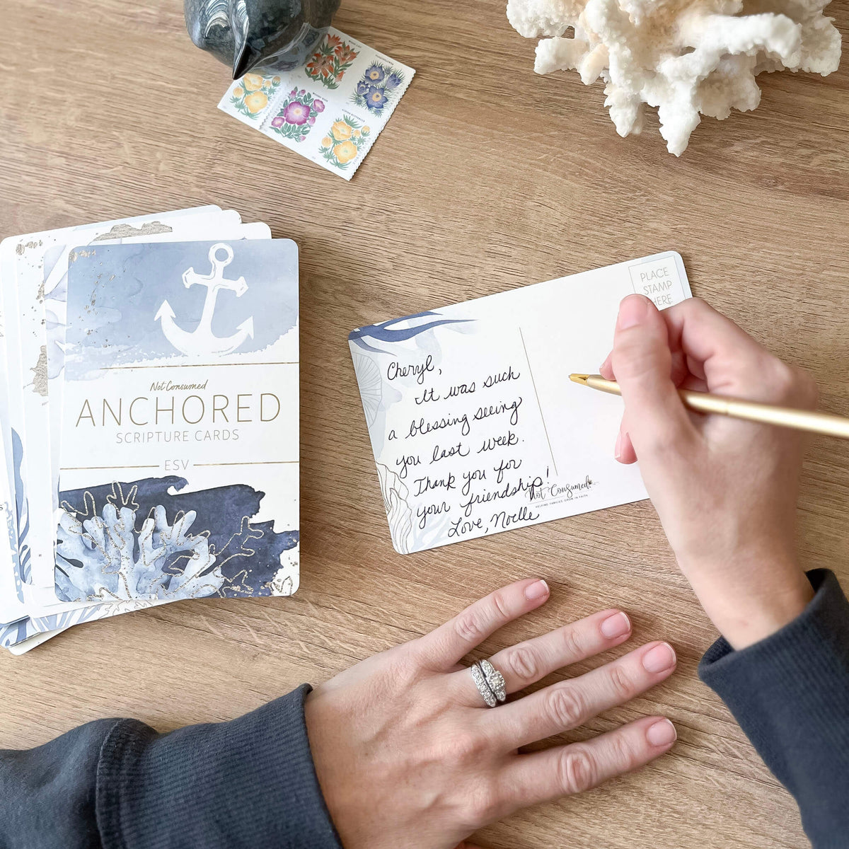 Anchored Collection Bundle