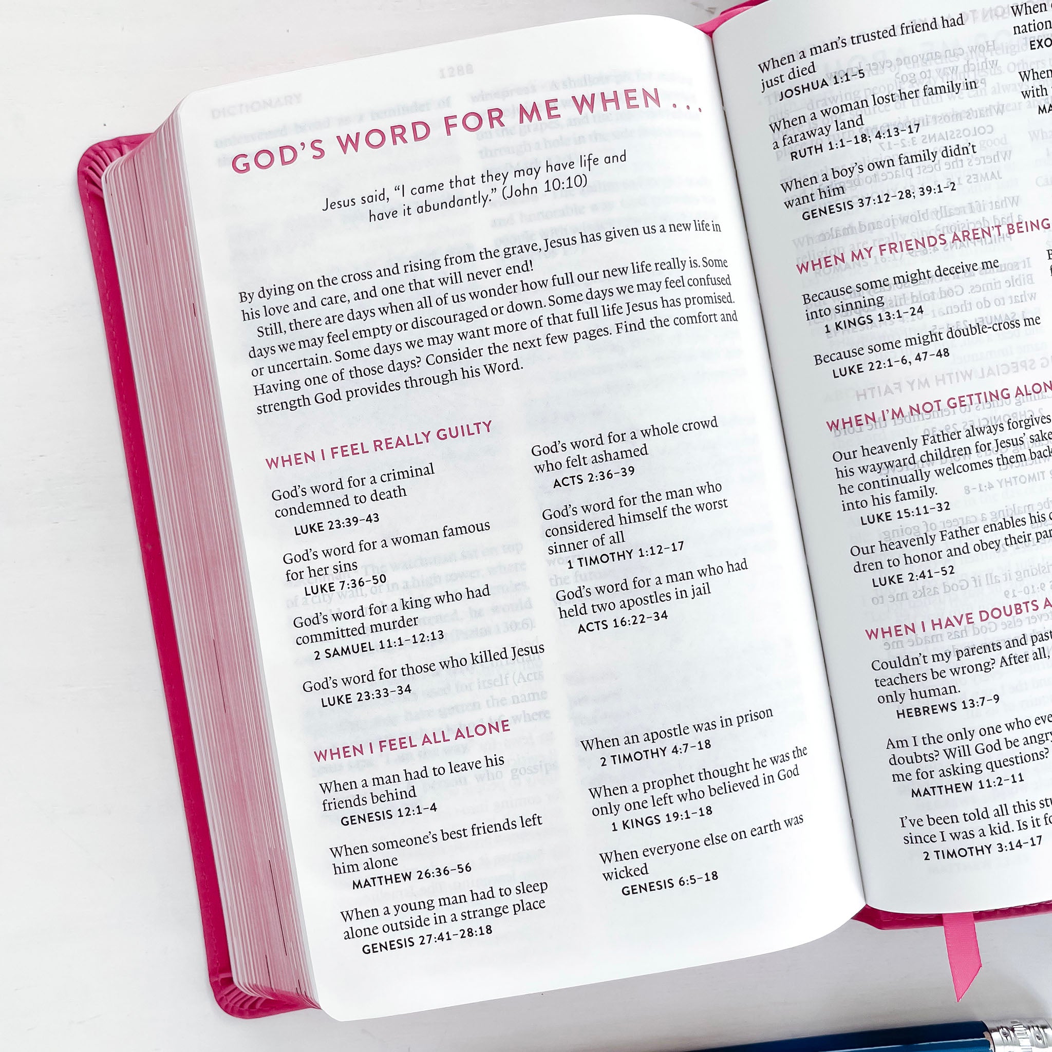 Bibles Collection | ESV & KJV for Kids – Not Consumed