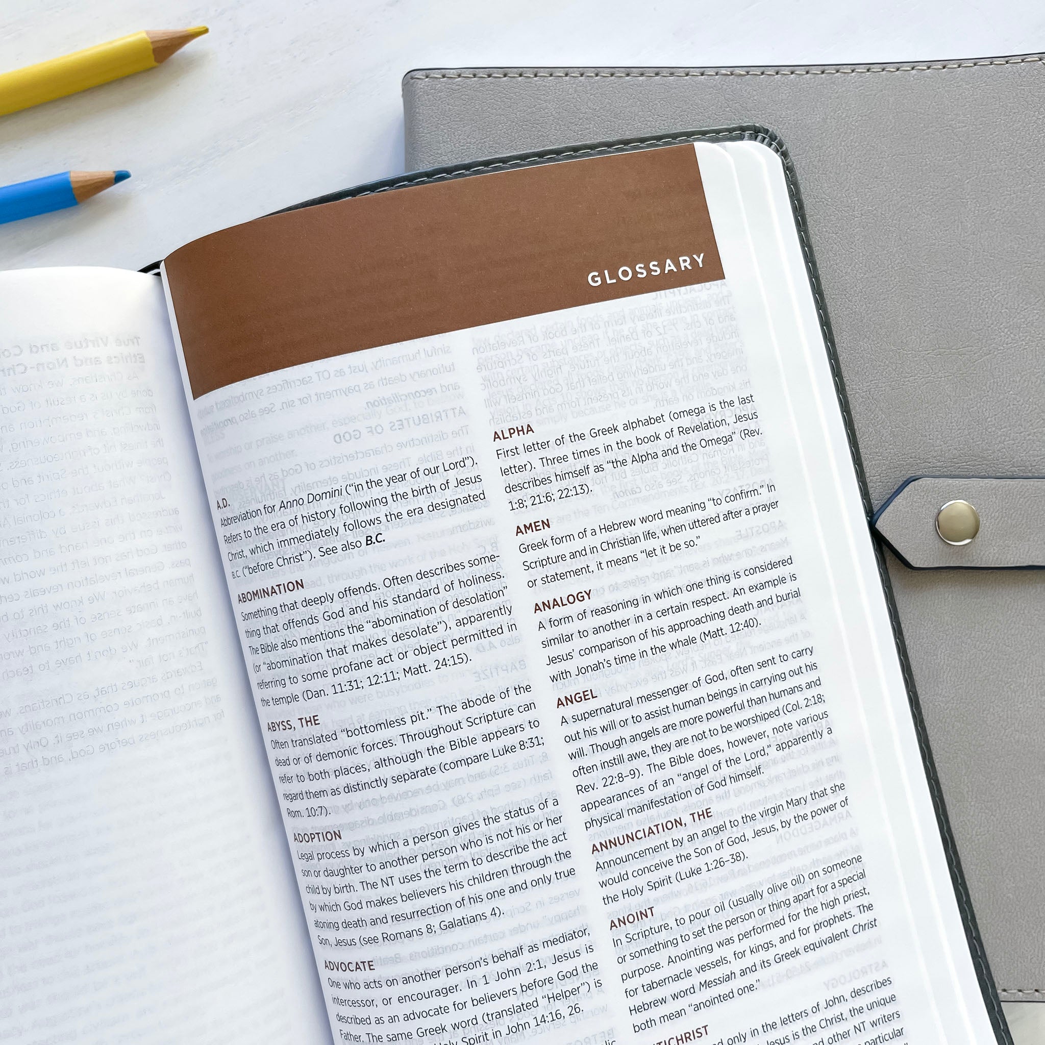ESV Study Bible Ships Worldwide Not Consumed Esv study bible ships worldwide not consumed