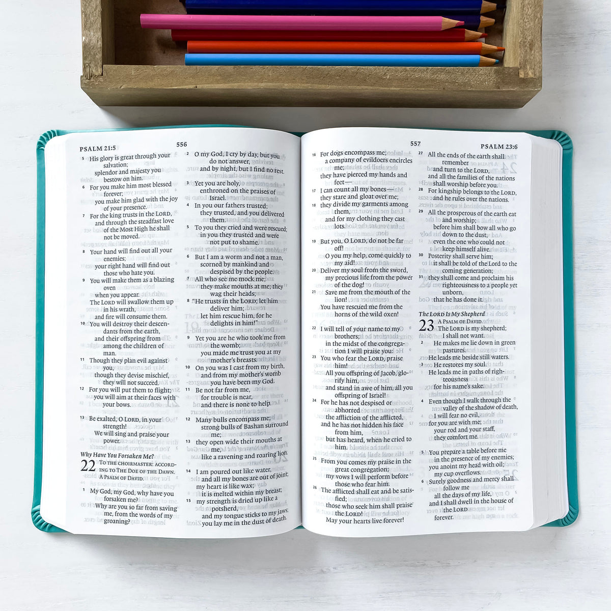 ESV Thinline Teal Book of Psalm