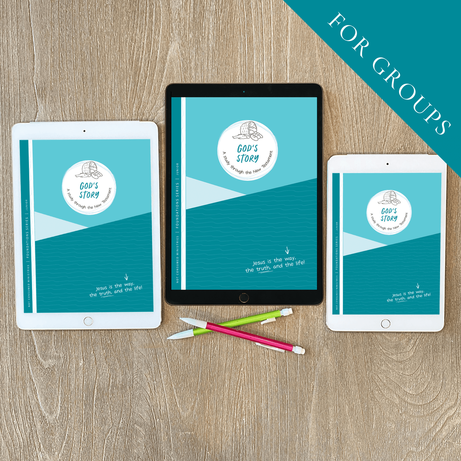 God's Story New Testament digital for Groups