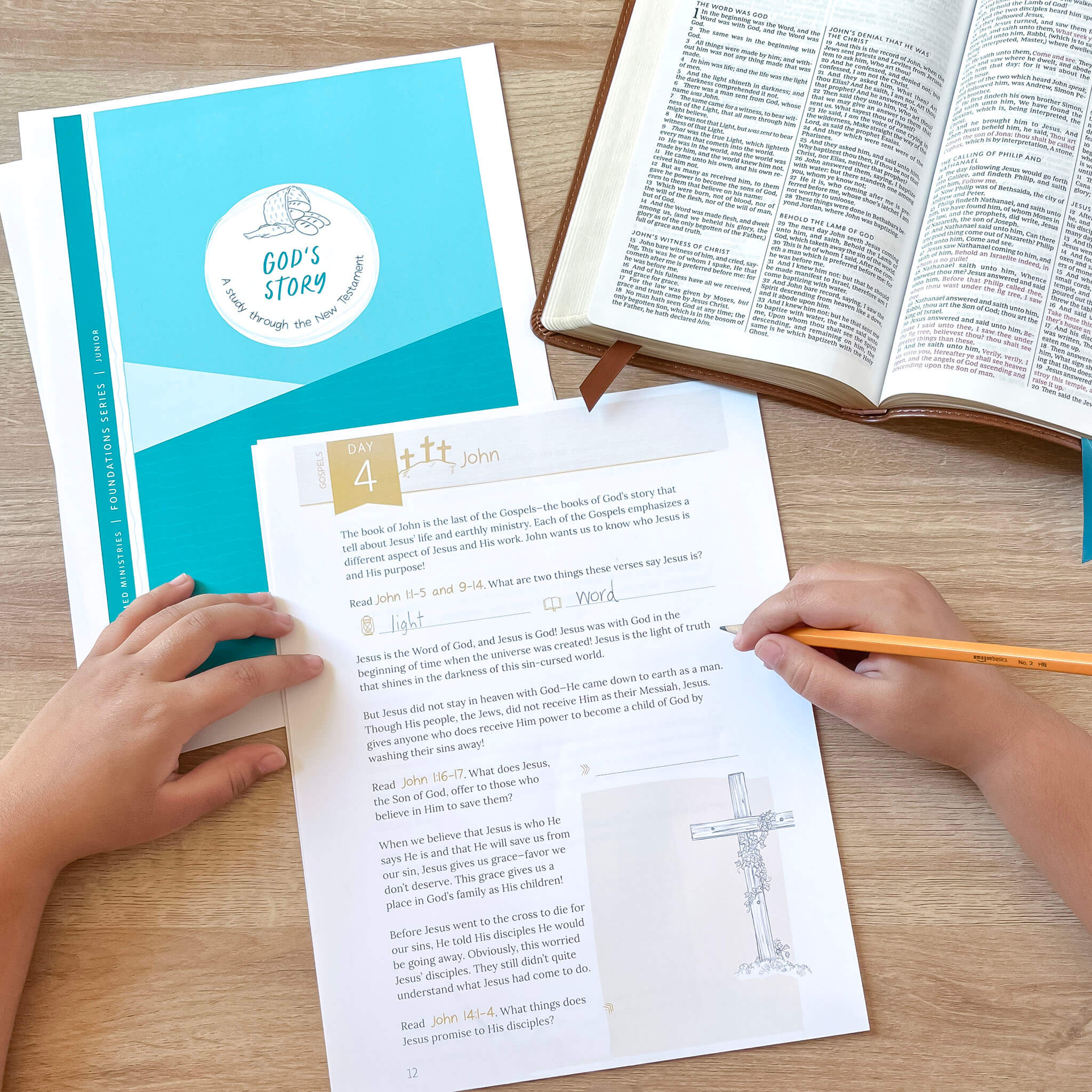 God's Story New Testament Bible Study (Digital Site License) – Not Consumed