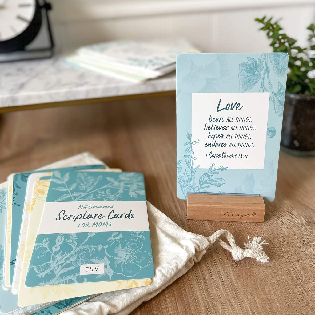 Foundation Verses Mini Scripture Cards - Bored and Busy Mama