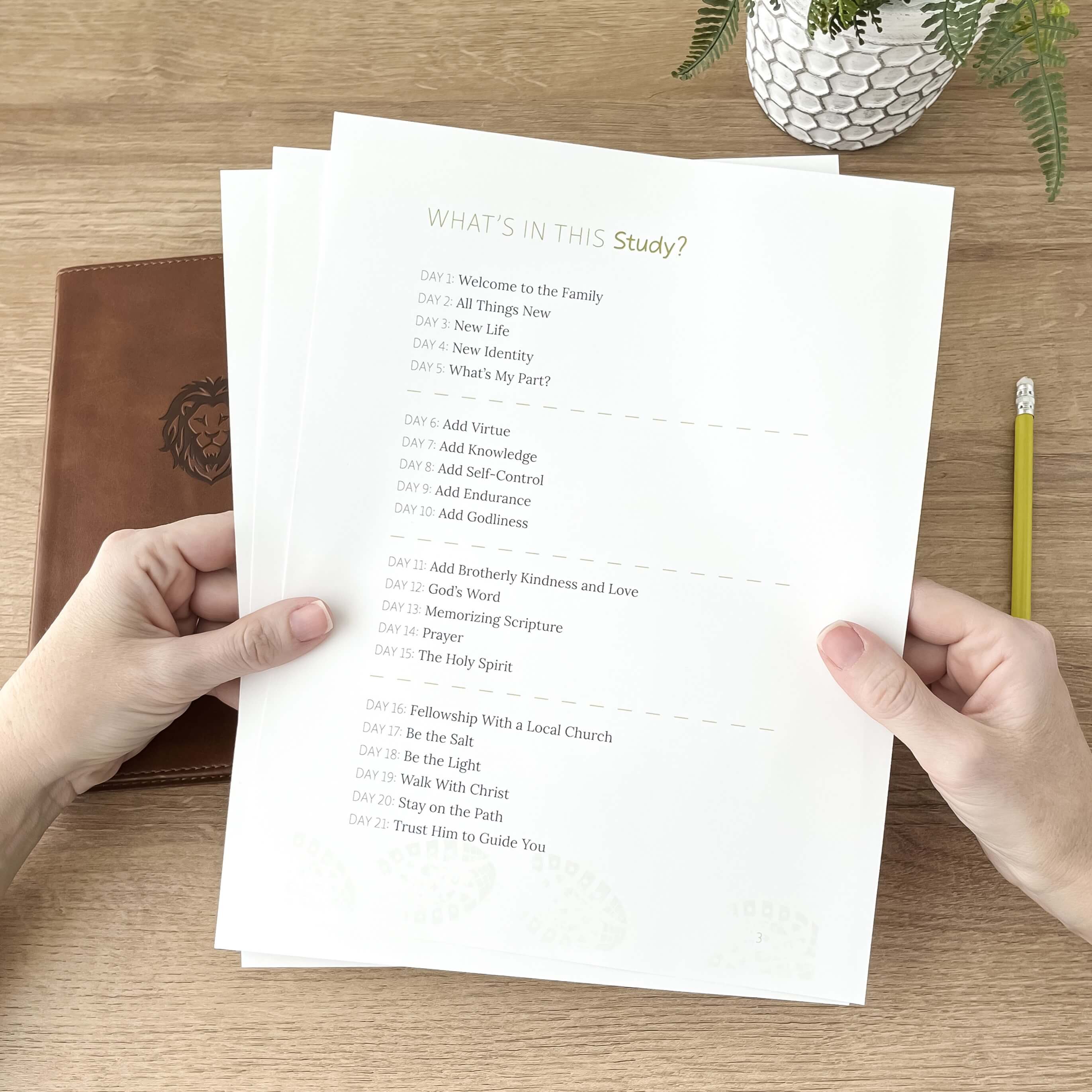 Digital Bible Studies – Not Consumed