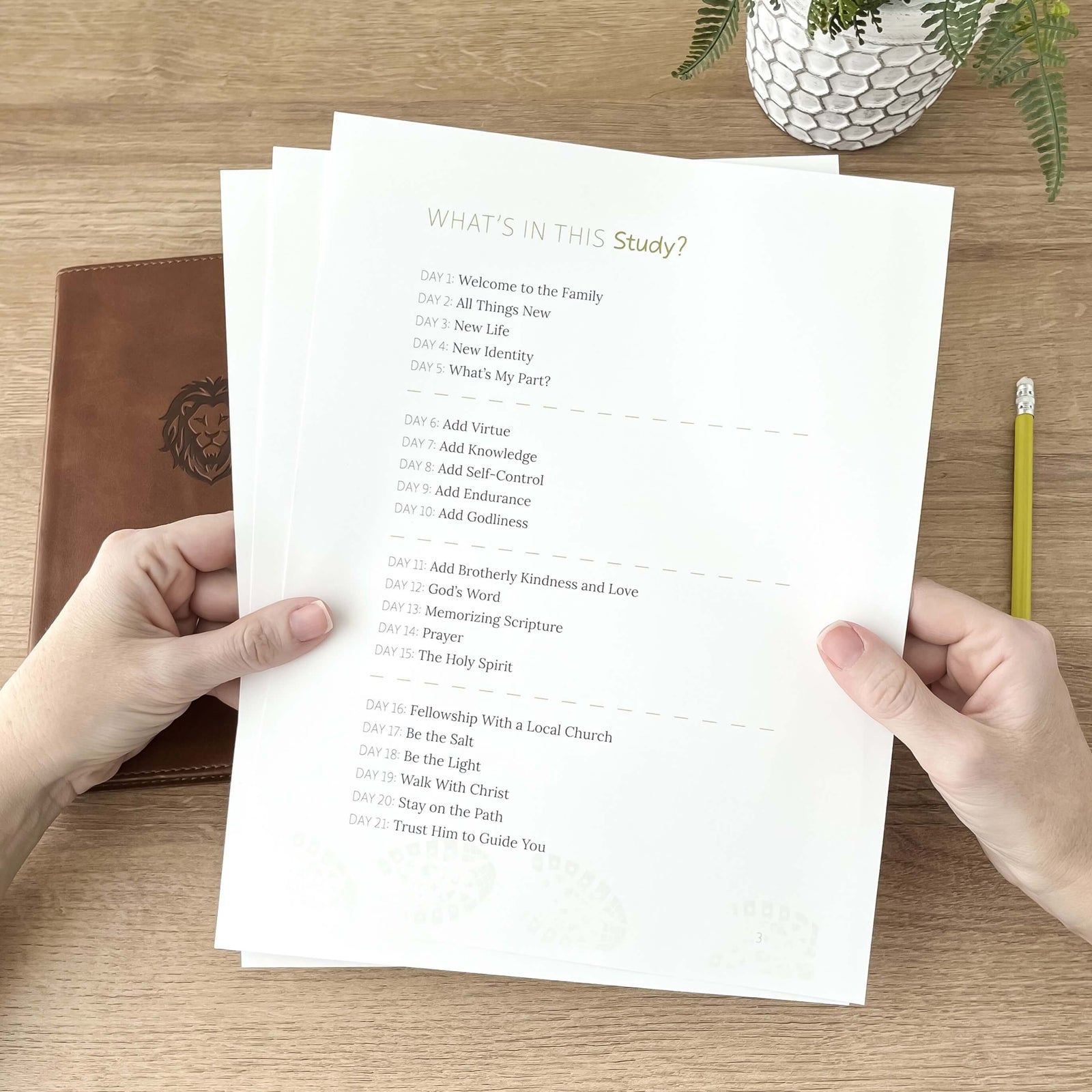 Decided Bible Study Digital Printable for family